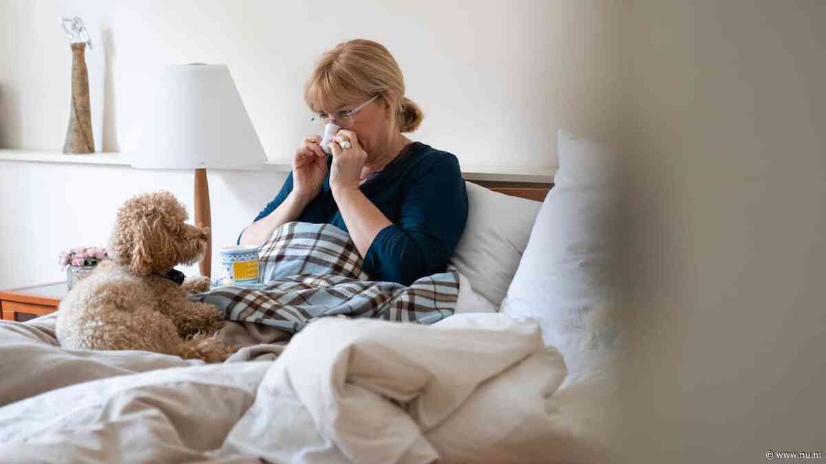 Hooikoortsseizoen piekt eerder dan normaal door zonnige recordlente