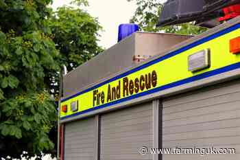 Heat lamp sparks barn fire killing 800 goats in Yorkshire