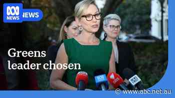 Larissa Waters chosen as new Greens leader