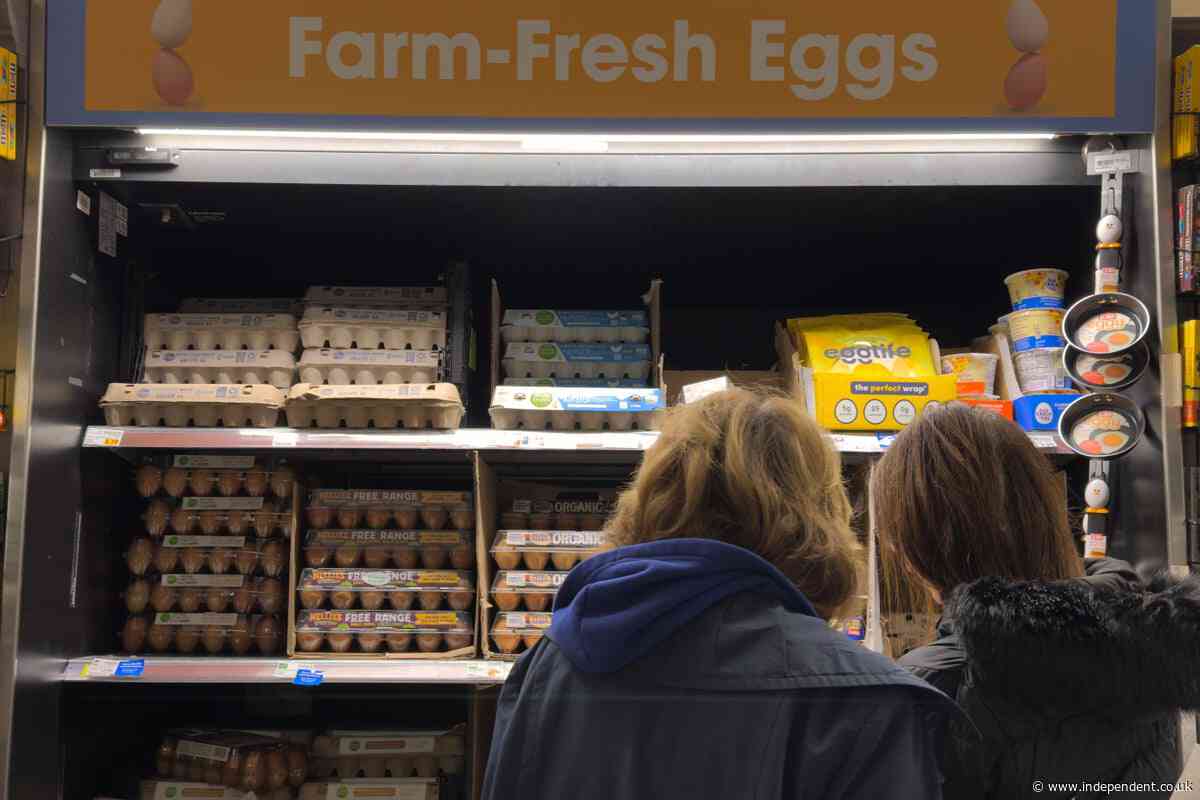 Egg tracker: prices dropped in April - still up 79% compared with a year ago