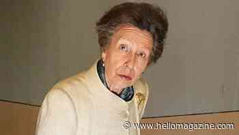 Princess Anne makes major style departure in cut-out dress