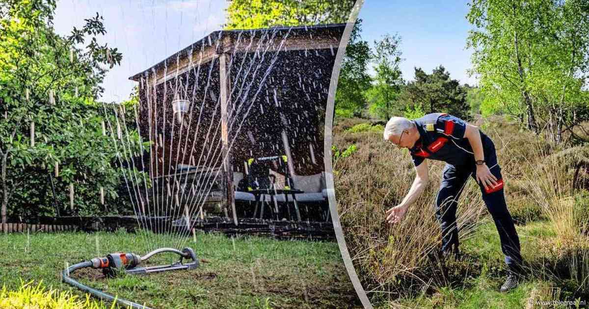 Zonovergoten lente duwt Nederland snel richting uniek droogterecord: ’Planten verdrogen, dieren trekken weg, dit baart zorgen’