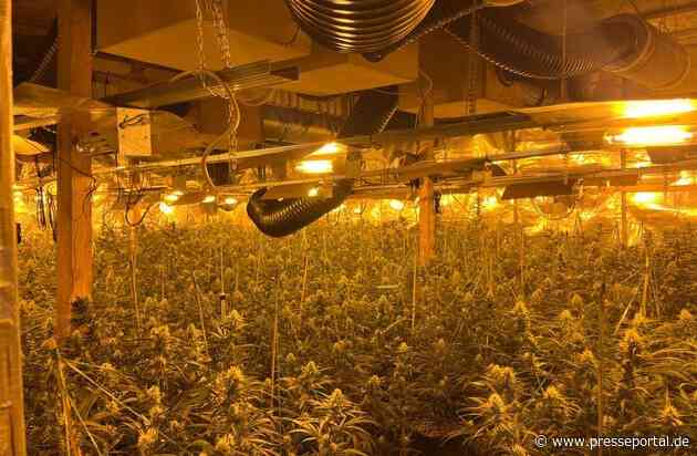 POL-MK: Cannabis-Plantage im ehemaligen Steinbruch - Zwei Festnahmen