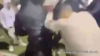 Major update on wild teen brawl at a family fireworks event after fresh footage emerged