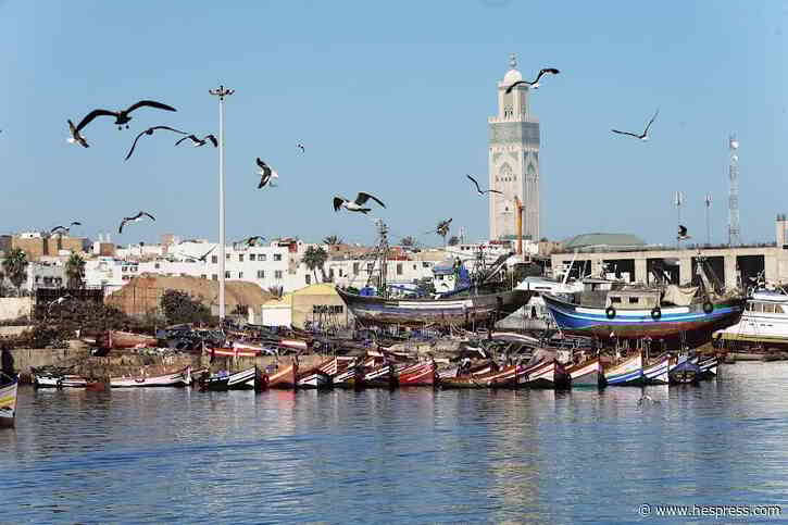 مهنيون: غلاء "الغازوال البحري" يقلص أنشطة مر&