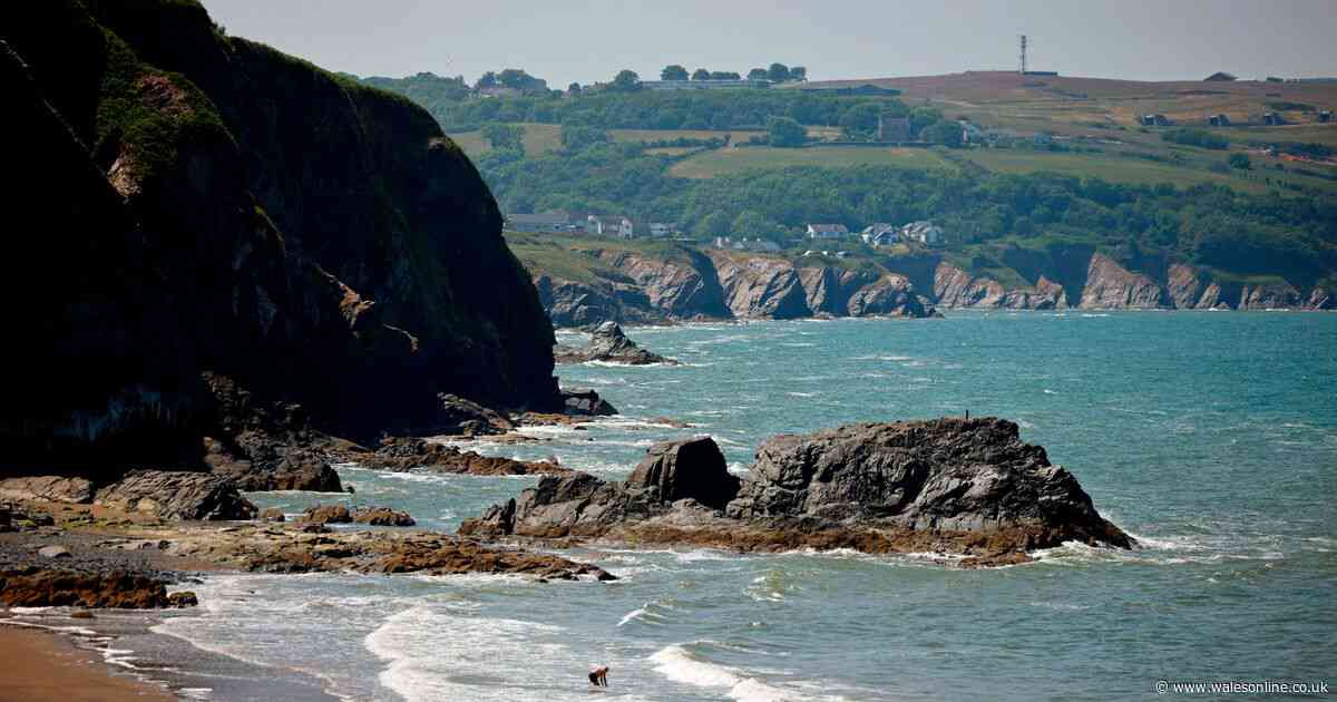 Full list of Welsh beaches with Blue Flag status in 2025