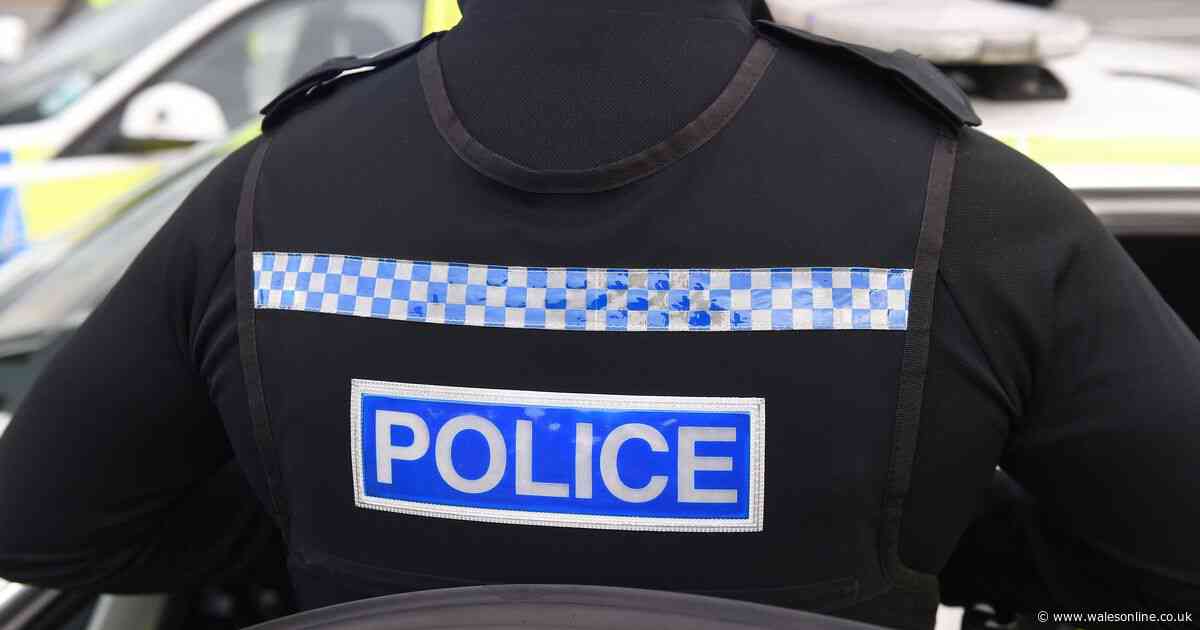 Man to face court after remains of 37 dogs found