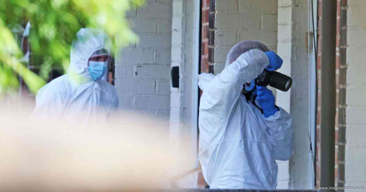 Police watchdog investigators at scene after armed officers shoot knife suspect