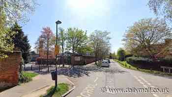Boy, 15, dies after falling unwell at secondary school and being rushed to hospital