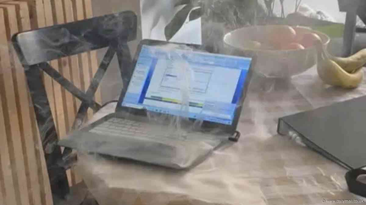 Terrifying moment mother's HP laptop suddenly catches fire in her home after making strange hissing sound