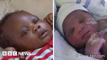 Police in DNA hunt for parents of three abandoned siblings