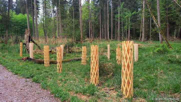 Lechpark Pössinger Au: Landsbergs kostspieliges ‚Wohnzimmer‘