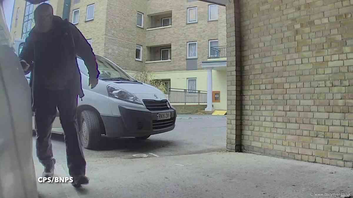 Evri delivery driver is caught lying about scratching company director's Tesla by car's onboard cameras and must pay £2,000