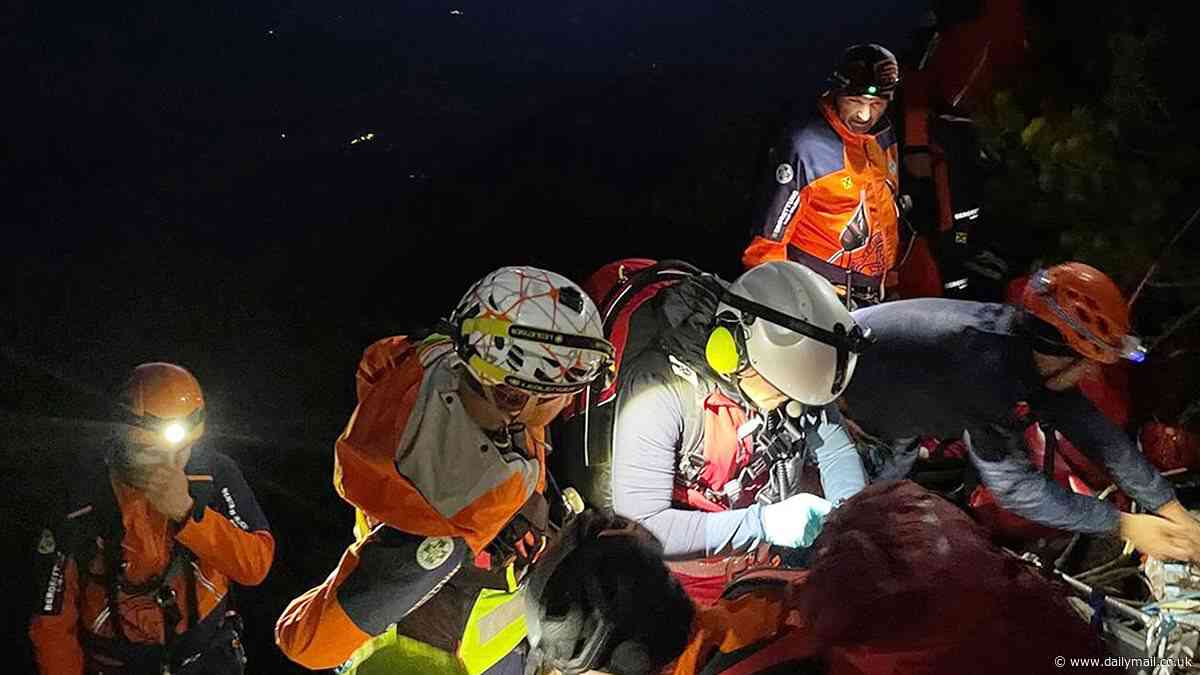 Brit, 21, somehow survives 130ft plunge off Austrian 'stairway to heaven' mountain ladder while taking a photo - two years after UK climber fell 300ft to his death at the same spot
