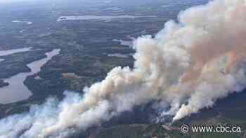 Wildfires in Fort Frances and Sioux Lookout Ont., districts force evacuation alert, travel restrictions