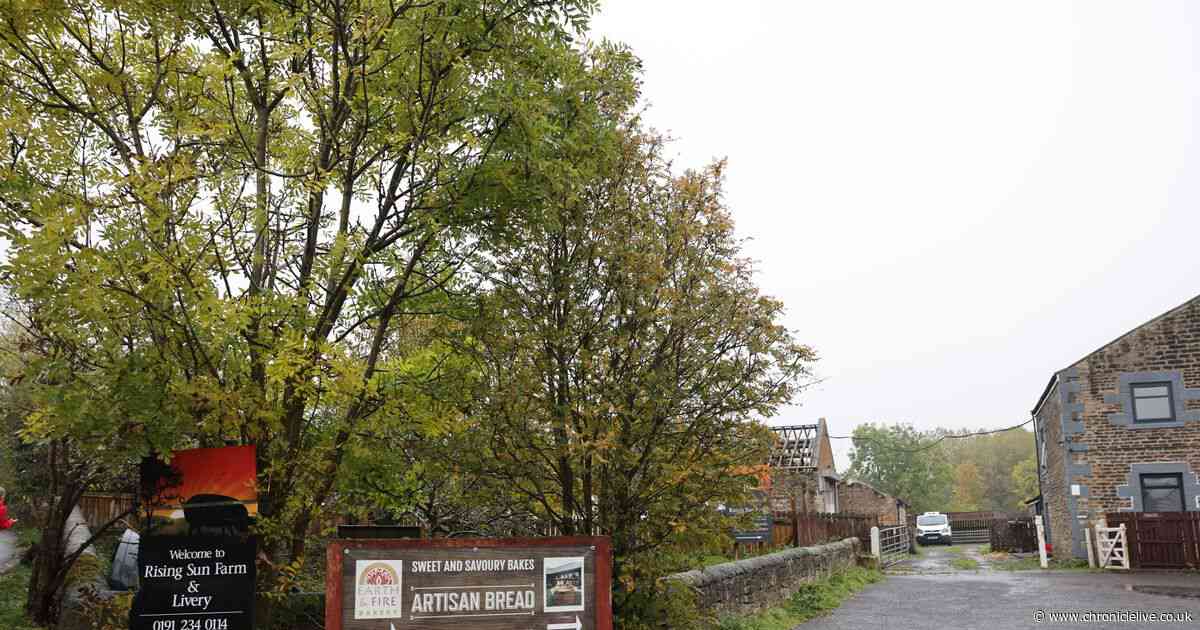 Search for new Wallsend community farm operator continues after two years
