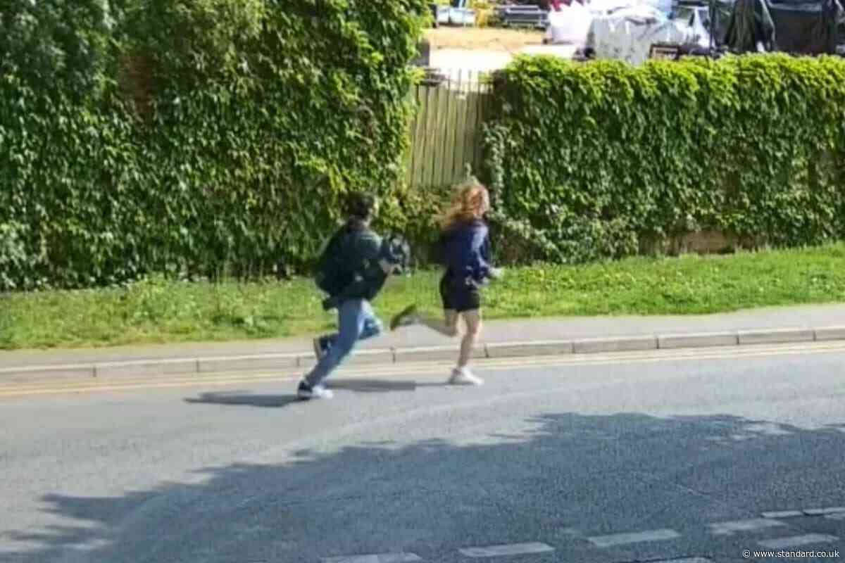 Police appeal to speak to two teenagers after kittens tortured and killed