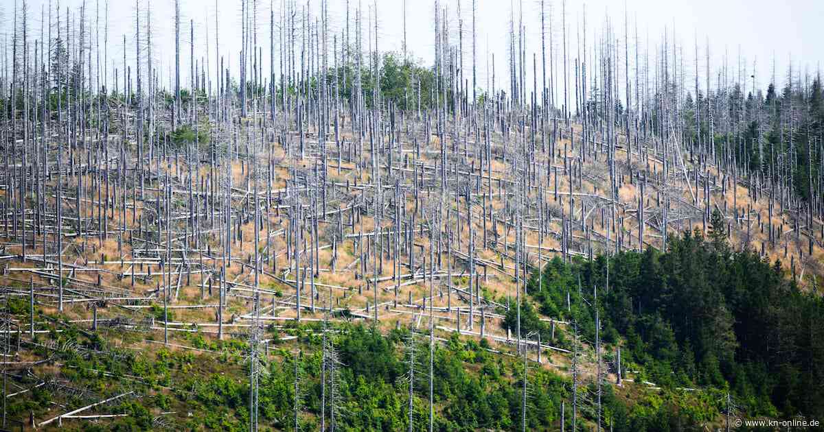 Expertenrat kritisiert Koalitionsvertrag: Klimapläne wenig ehrgeizig