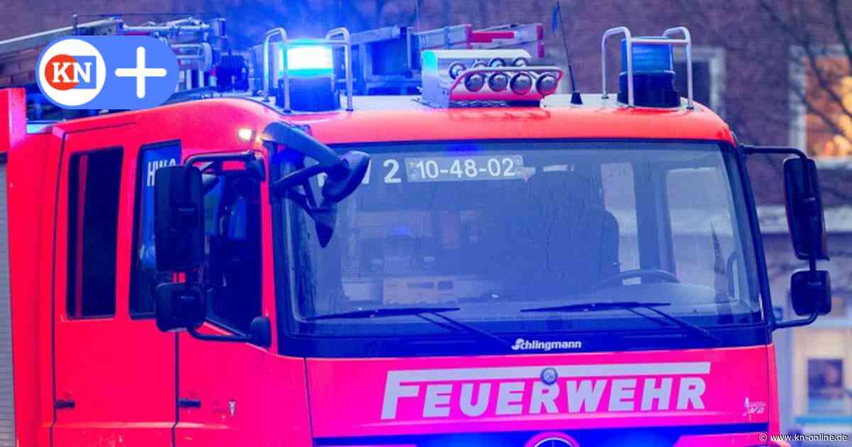 Feuerwehren kämpfen gegen Großbrand in Damendorf