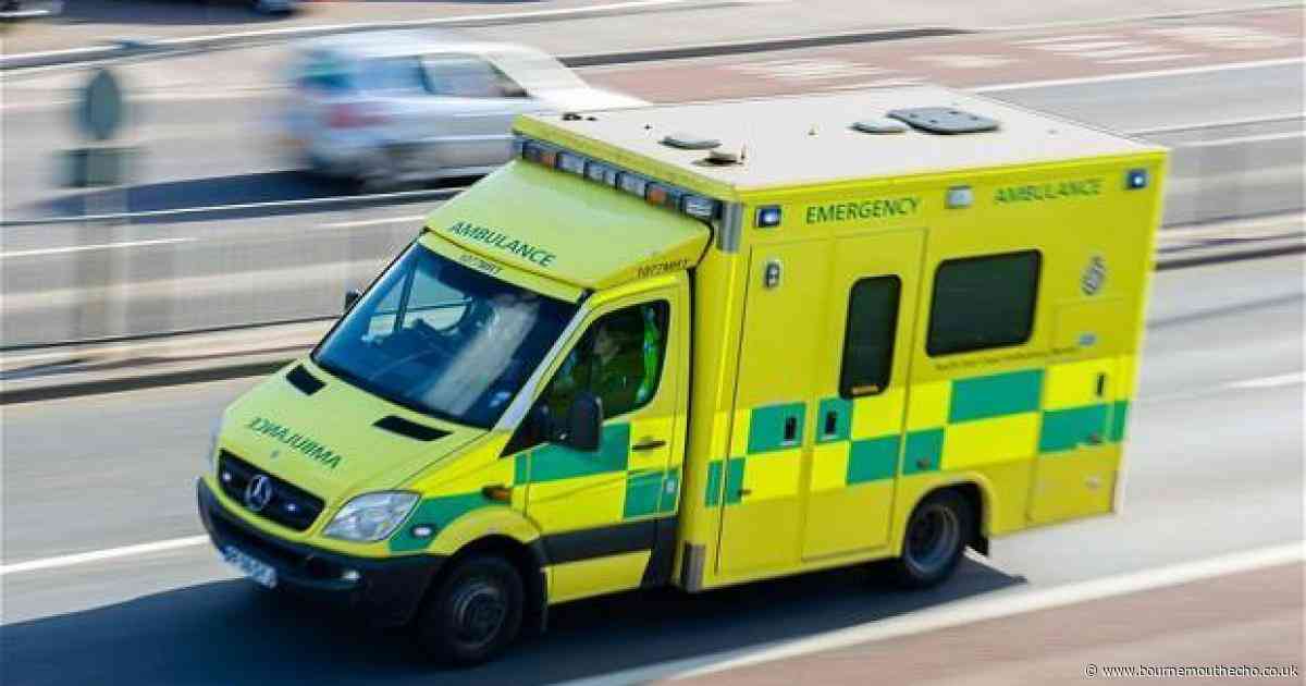 Woman on bridge sparks emergency services response