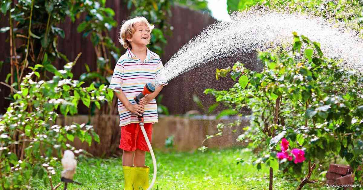Hoe bewater je tuin zonder liters drinkwater te verspillen? ’Accepteer dat jouw gazon geel wordt’