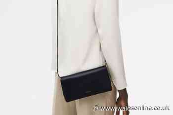 Five of the best bags in Radley sale as over 50% slashed off prices