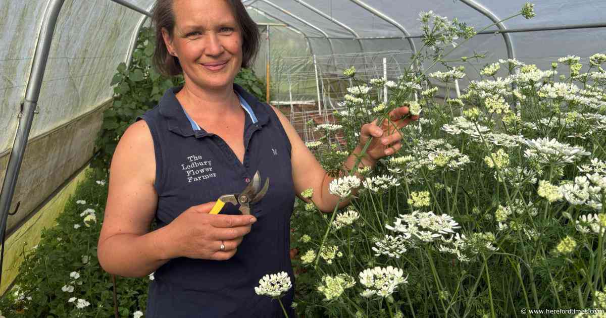 Florist backs funeral exhibit at RHS show