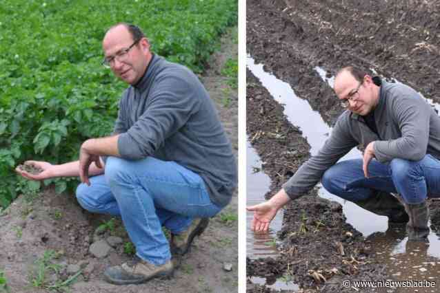 Aardappelteler Stijn moet twee jaar na wateroverlast hardnekkige droogte overwinnen: “Extremen worden steeds extremer”