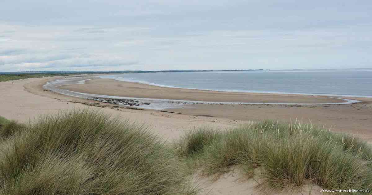 Two 'magical' North East beaches named among best in UK for rockpooling