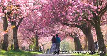 Health officials issue alert to people planning a walk this weekend