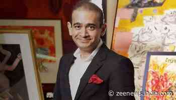London High Court Rejects PNB Scam Accused Nirav Modi’s 10th Bail Plea; Extradition Case Moves Forward