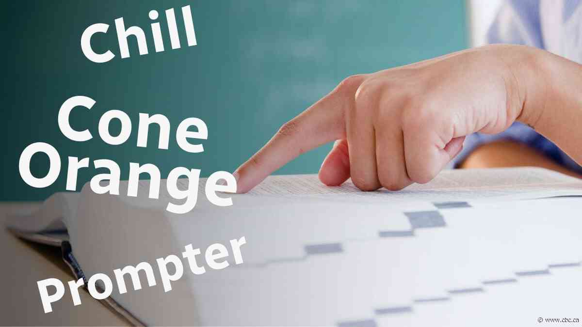 Chill, prompter, cône orange: French dictionary releases list of new words