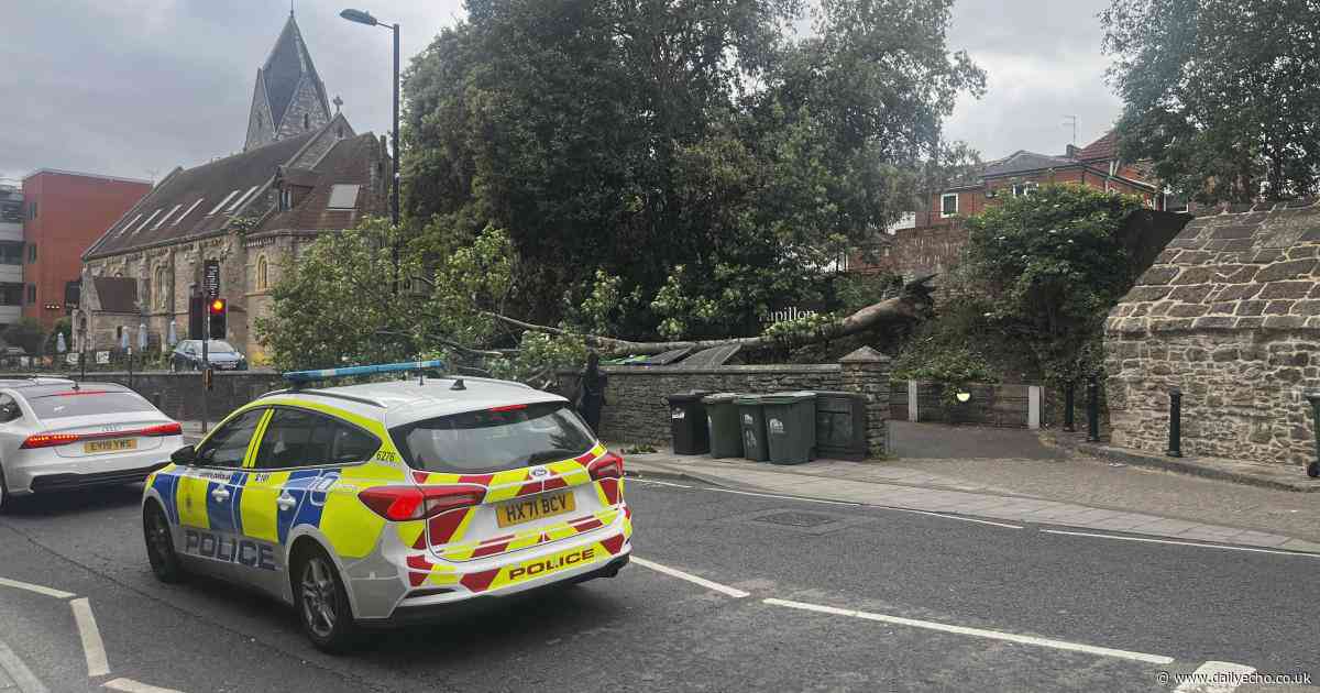 Tree falls and blocks pavement opposite Mayflower Theatre - live updates