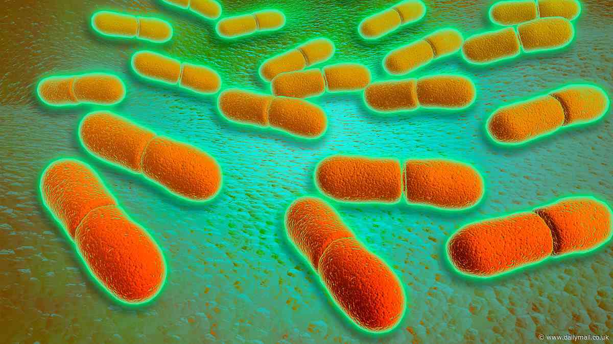 Major supermarket issues urgent 'do not eat' warning on more chicken favourites over fears of deadly listeria contamination