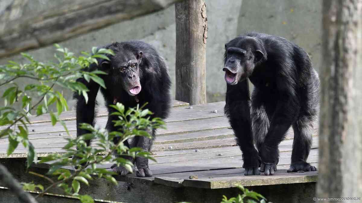 Leerlingen vliegen elkaar in de haren in Beekse Bergen, politie grijpt in