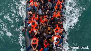 Channel small boat migrants are not checked against police database and can REFUSE to be interviewed, shock report reveals