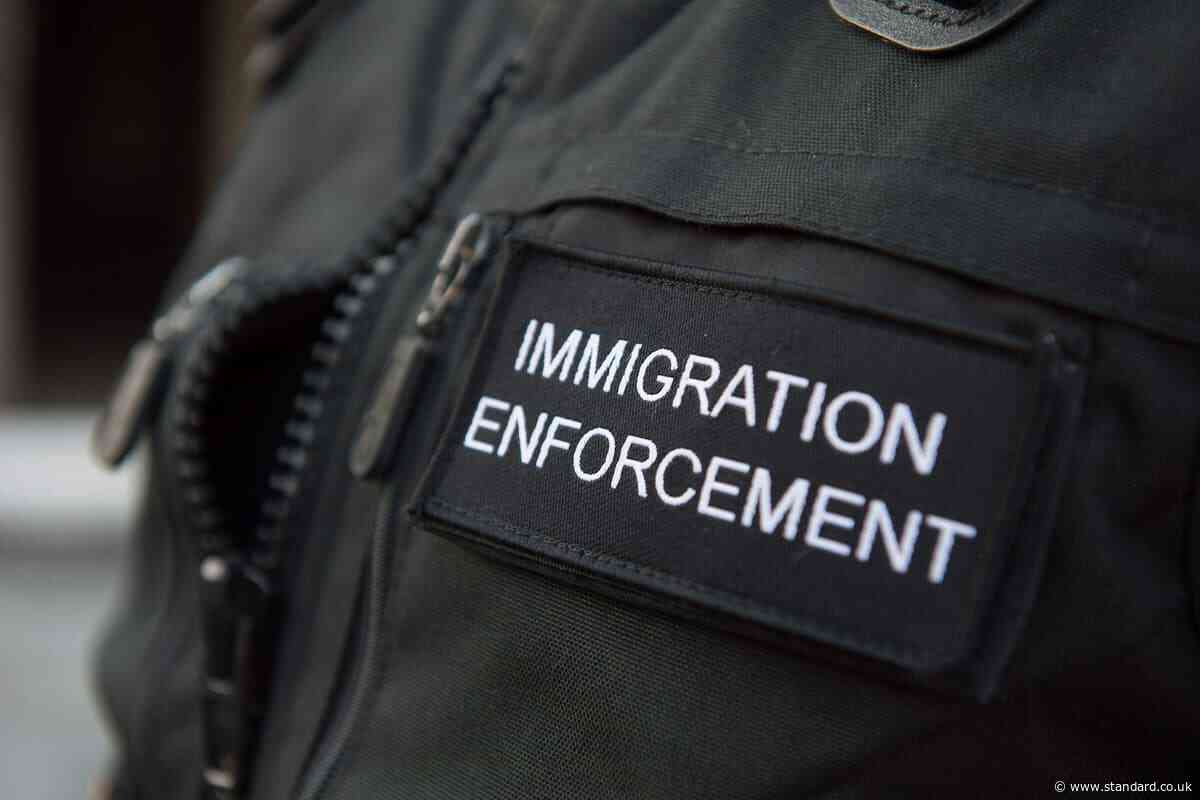 Chances to investigate criminal smuggling gangs missed, says watchdog