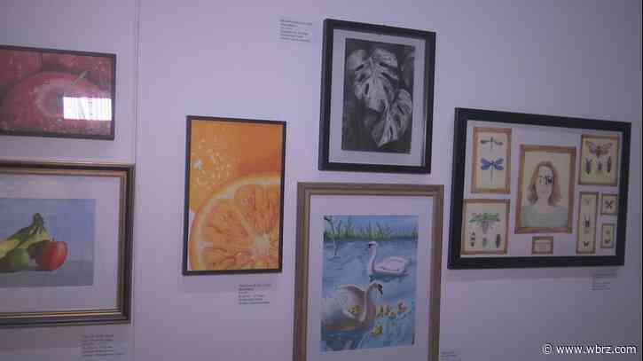 Zachary High 'Talented Arts Program' students' artwork in Louisiana Art & Science Museum