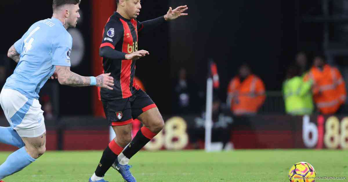 'Not a surprise' Adams is thriving in Cherries shirt: Former US boss Hudson