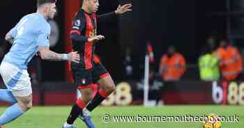 'Not a surprise' Adams is thriving in Cherries shirt: Former US boss Hudson
