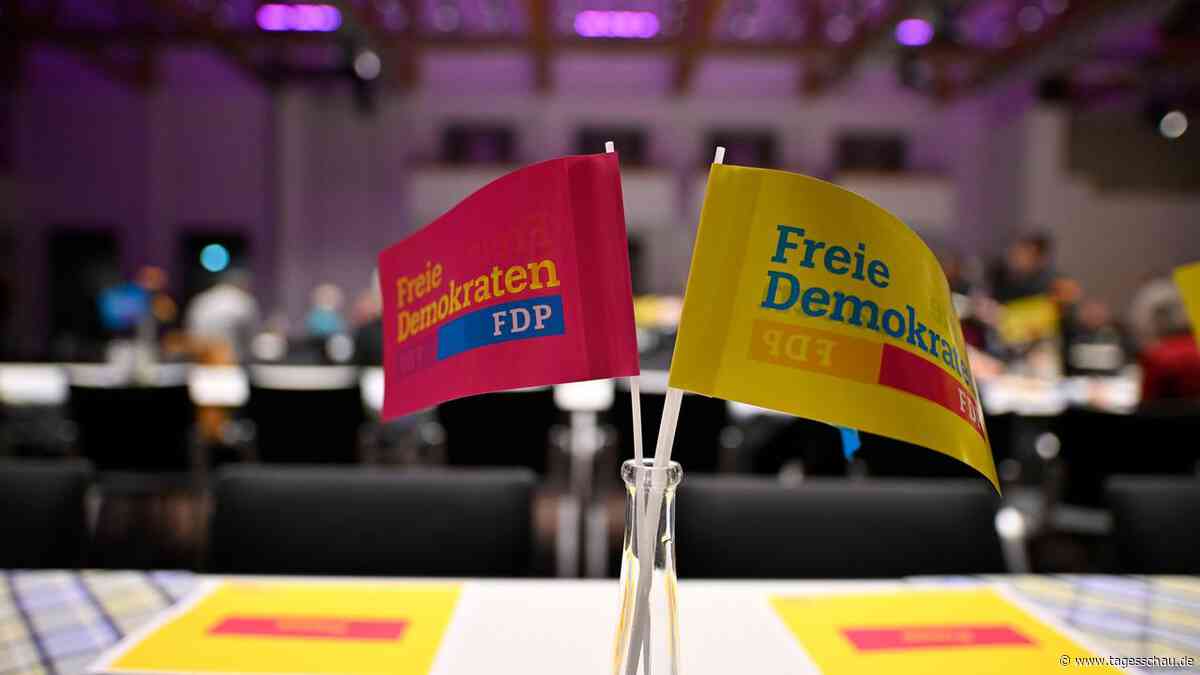 FDP-Parteitag: Neustart vom Abstellgleis?