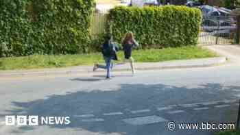 Hunt on for teens after kittens found 'mutilated'