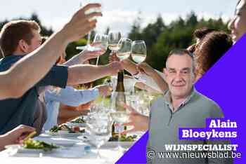 100 BESTE ZOMERWIJNEN. Minder alcohol én uitstekende wijn tussen de 5 en 8 euro: onze expert selecteert 100 flessen uit de supermarkt