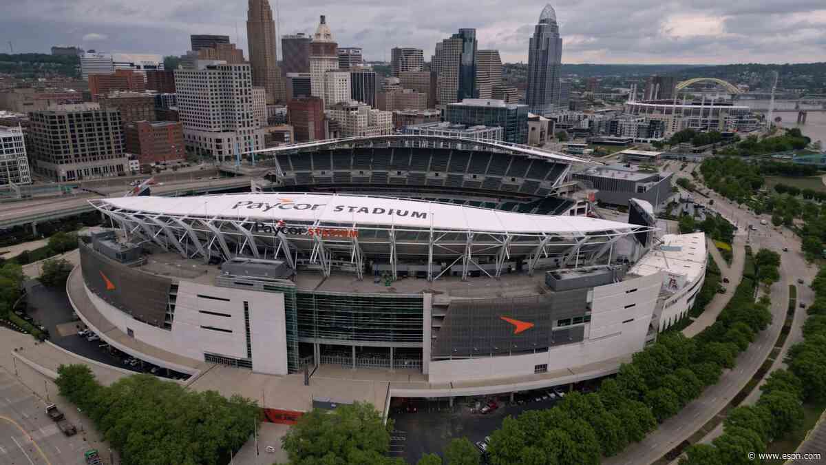 Bengals allege county consultant has Browns ties