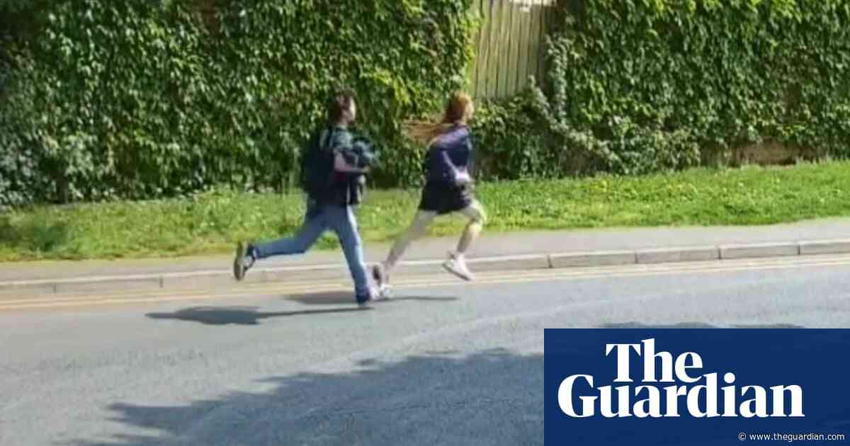 London police search for teenagers after kittens found ‘mutilated’