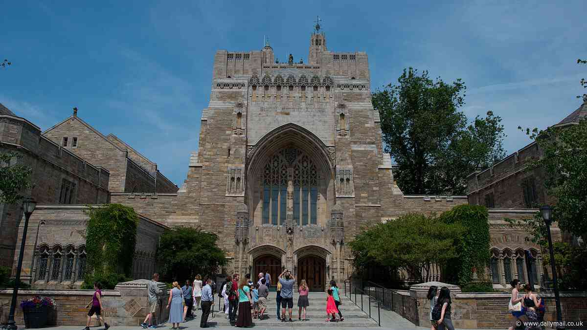 Woke Yale professors announce they're fleeing the US as historian compares living in America to the Titanic