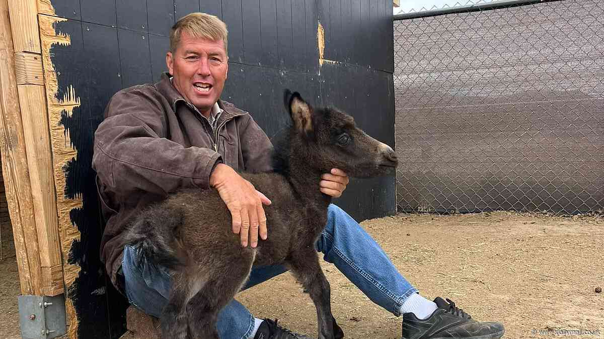 Veterinarian's cause of death revealed after he disappeared amid viral footage of him beating a horse