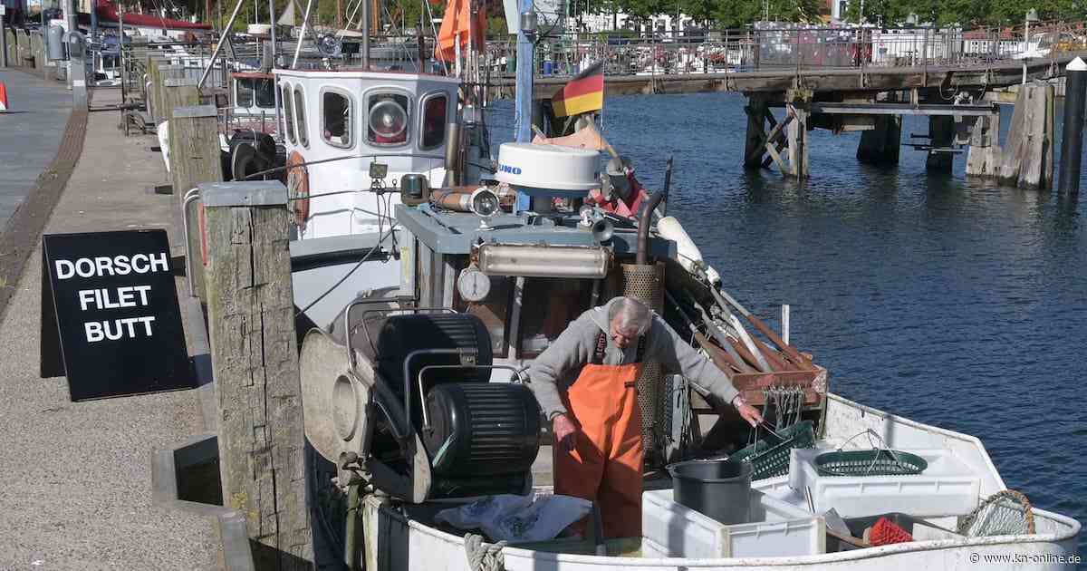 Kommentar: Fischerei vor dem Aus – nur noch Subventionen können helfen