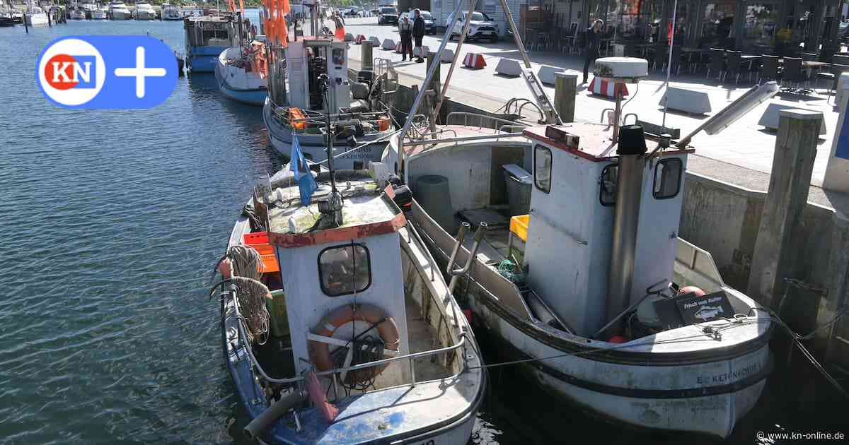 Fischerei in Eckernförde steht vor dem Aus: „Fischer sind Bauernopfer“