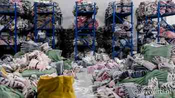 Chinese Shein huurt enorm magazijn in Vietnam om invoerheffingen VS